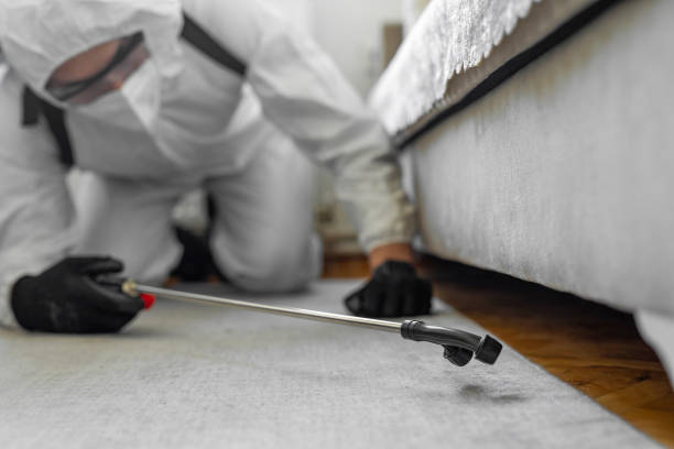 Professional Pest Control technician working in Kula, HI