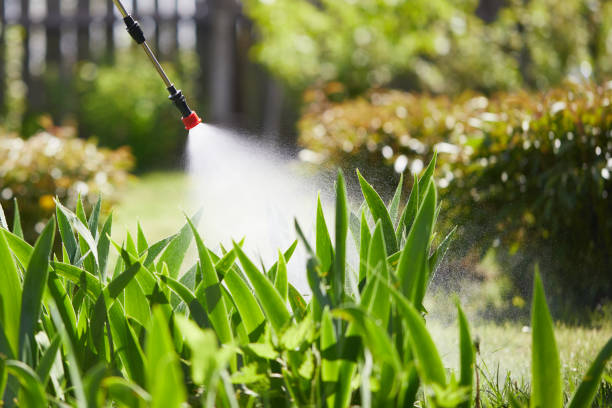 24/7 Emergency Termite Control experts in Kula, HI